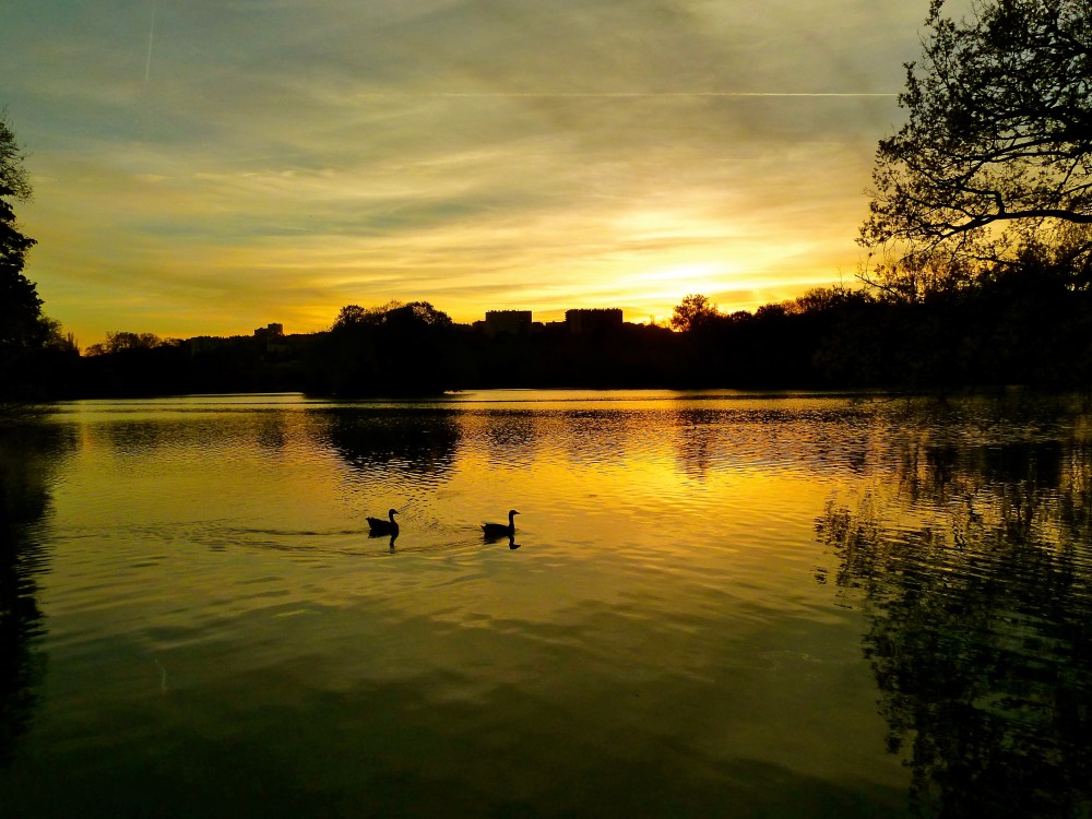 LYON - 354 - Version 2