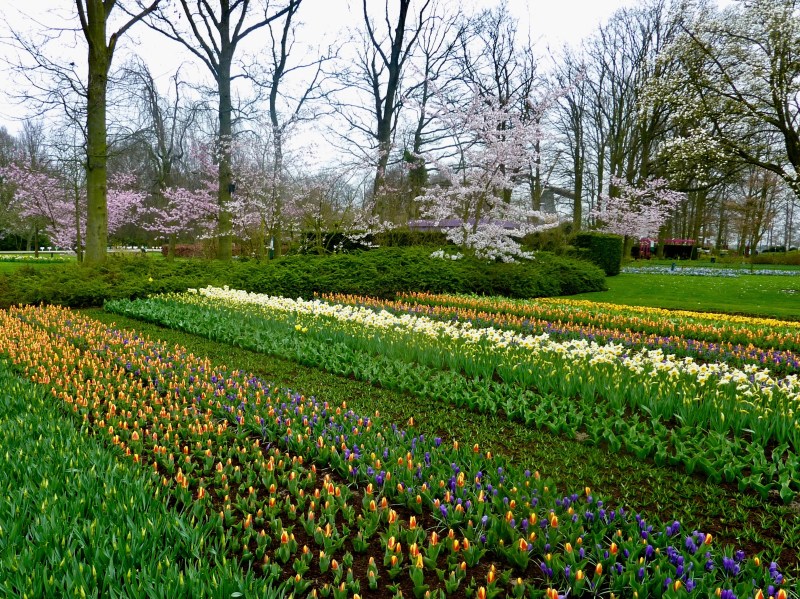 KEUKENHOF - 13 - Version 2