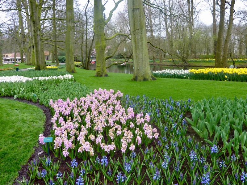 KEUKENHOF - 53 - Version 2